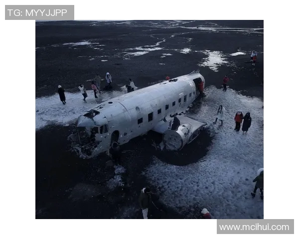 纽卡飞机事件引发墨尔本审理影响国际航空安全与法律争议 纽卡飞机事件引发墨尔本审理影响国际航空安全与法律争议