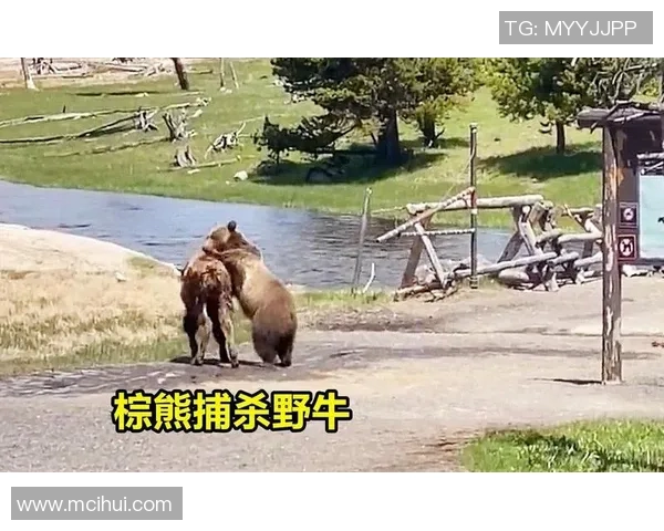 太阳与神秘人展开激烈对决谁能在这场比赛中胜出引发热议