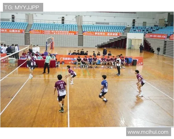 广州排球队展现灵活战术与团队配合的精彩表现分析