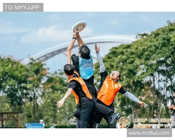 深入分析上海飞盘队的进攻策略与战术创新探讨